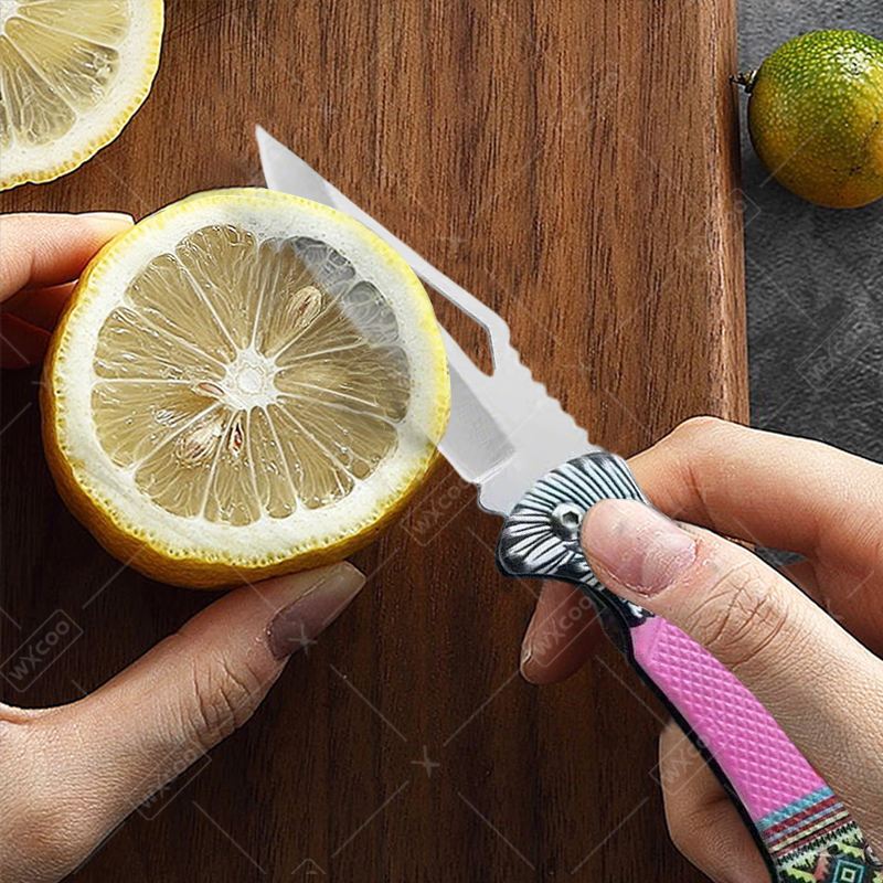 WXCOO Folding Knife Stainless  - Kitchen Gadgets And Equipment recensie en prijs