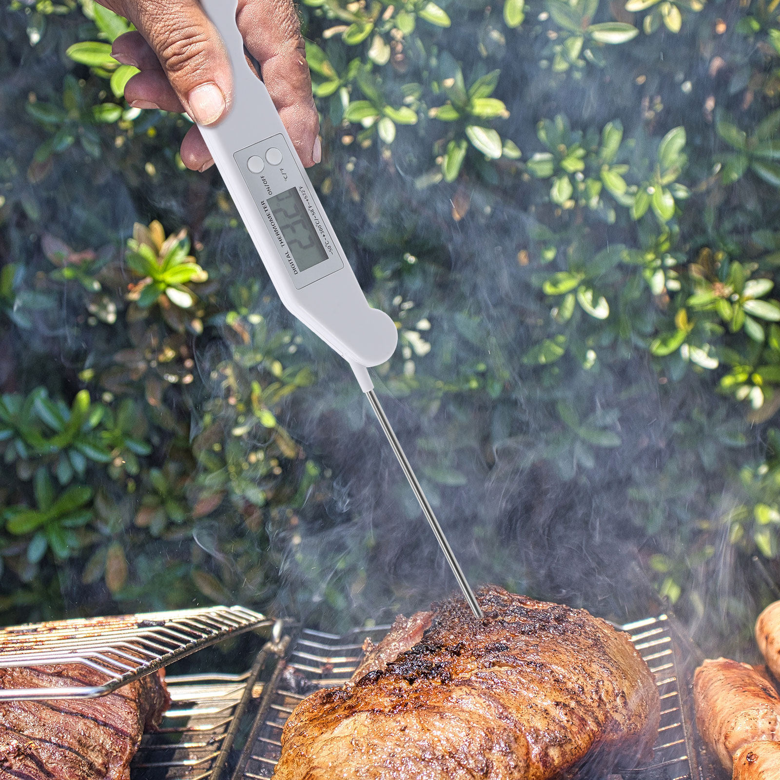 Folding Electronic Thermometer - Instant Read Thermometer recensie en prijs
